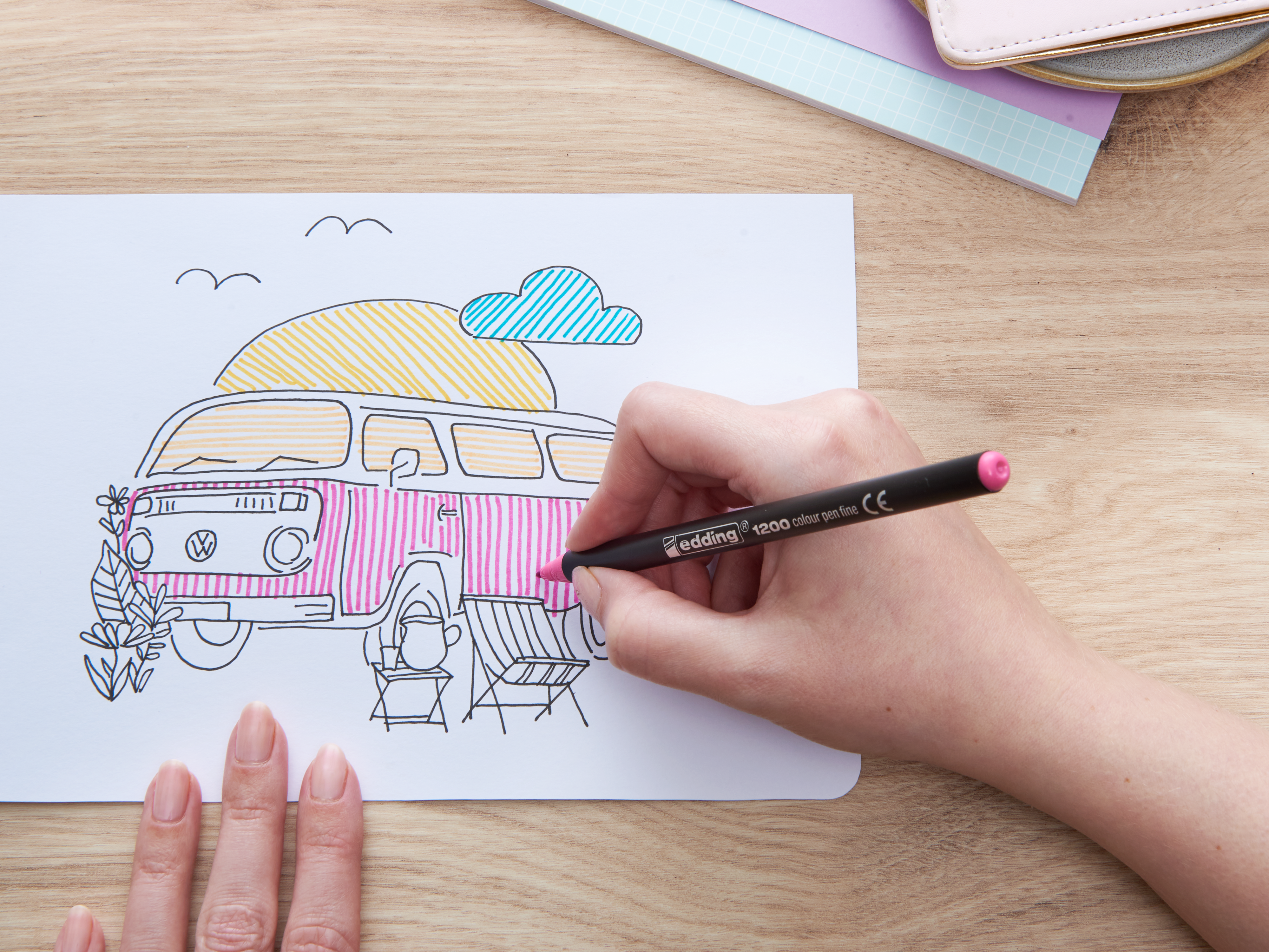 Lettering y sombreados profesionales
